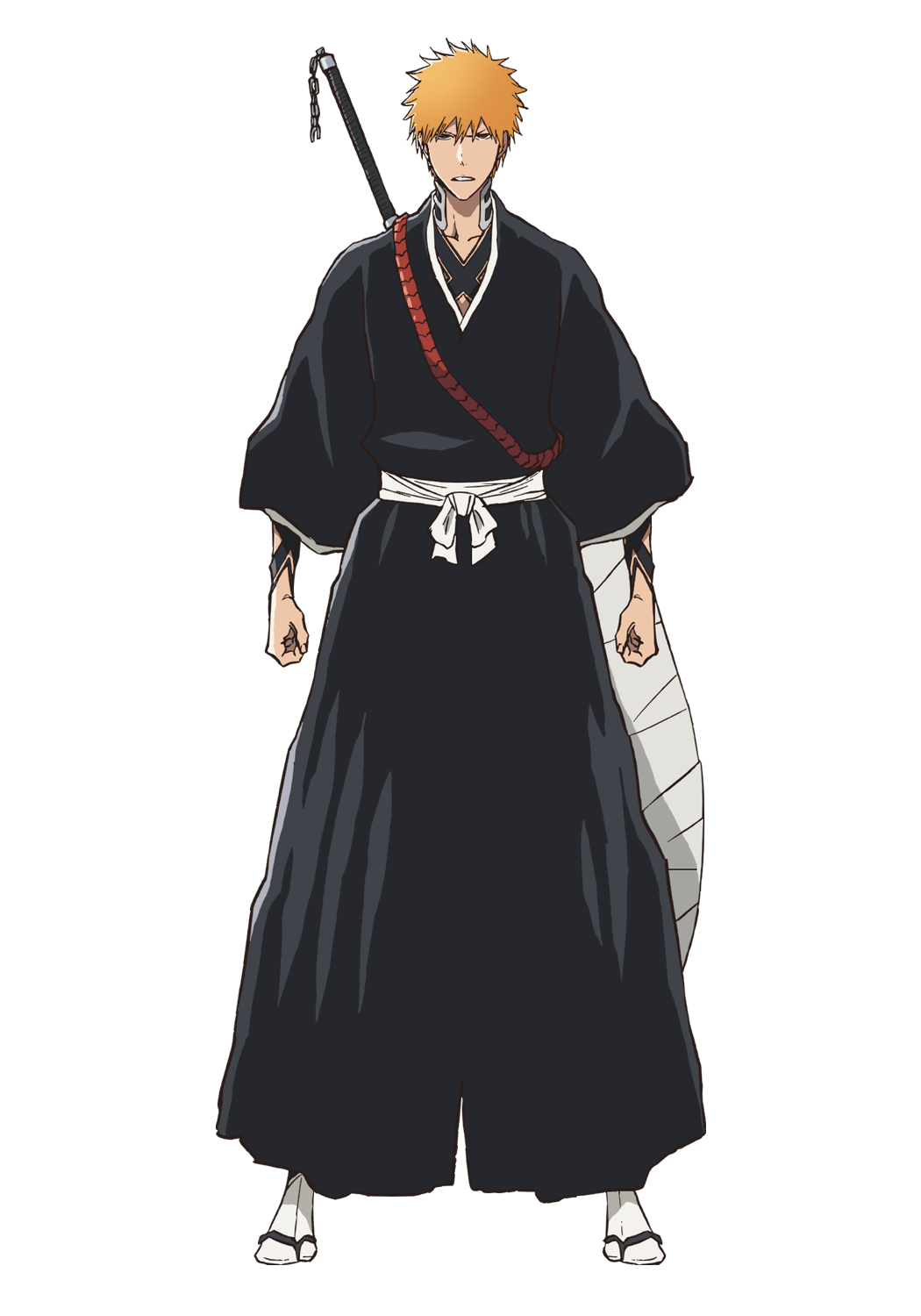 Official full-body character image of protagonist Ichigo Kurosaki